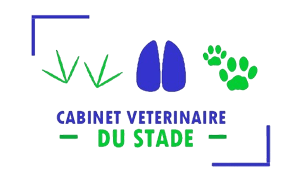 2-logo